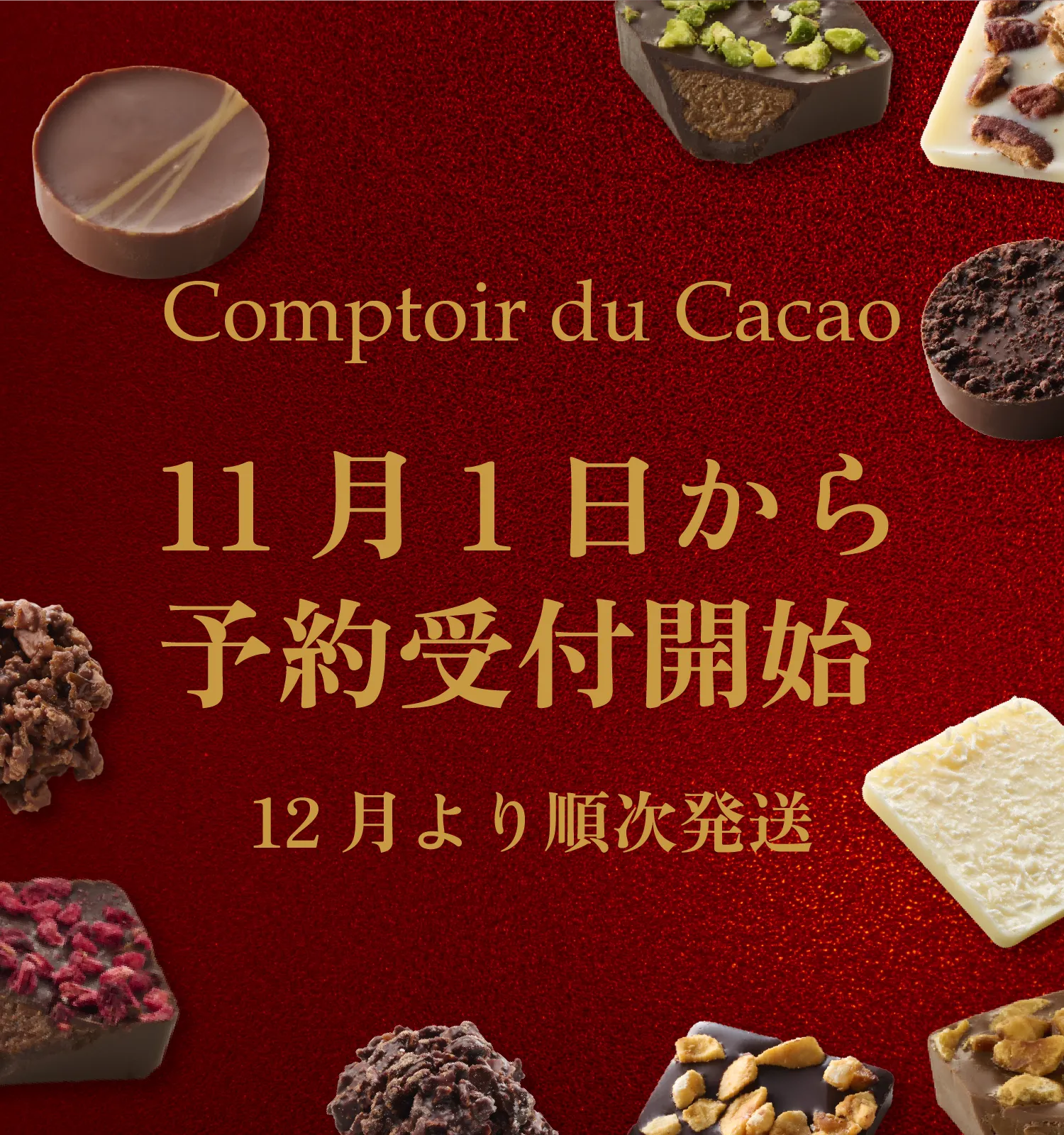 予約販売TOPスマホ